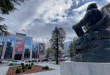 IDEJE ČEKAJU I UMIRU